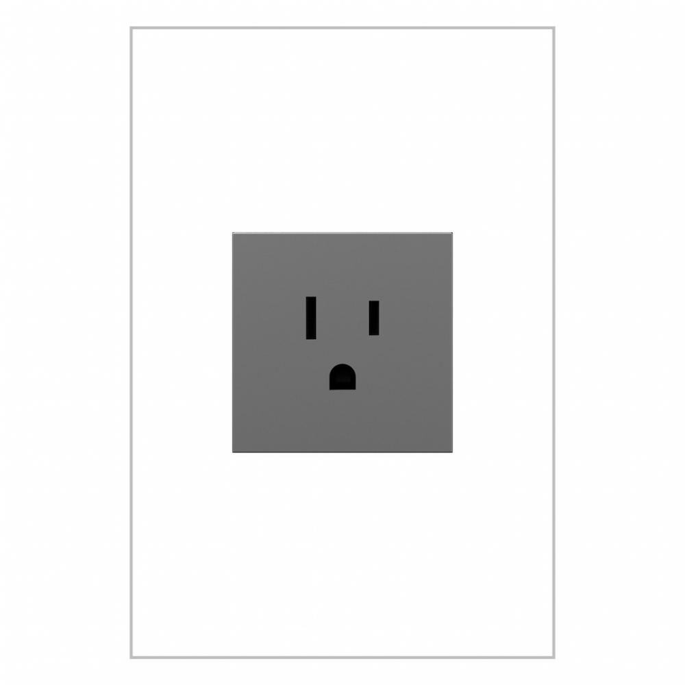adorne 15A Single Tamper-Resistant Outlet, Magnesium
