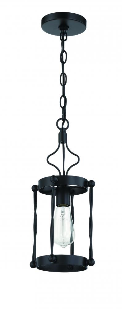 1 Light Mini Pendant