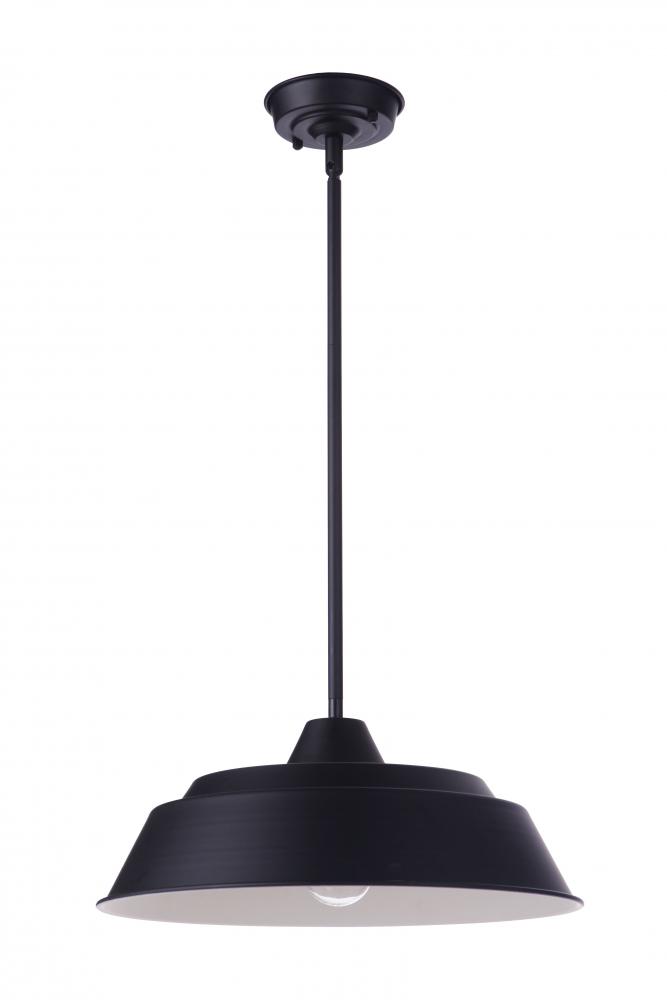 1 Light Pendant